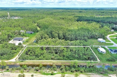 Exclusively presented by Sunland Real Estate: Discover your on Lehigh Resort Club in Florida - for sale on GolfHomes.com, golf home, golf lot