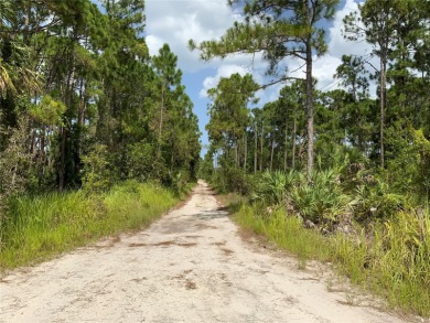 Vacant residential lot offering country living yet so close to on Island Pines Golf Club in Florida - for sale on GolfHomes.com, golf home, golf lot