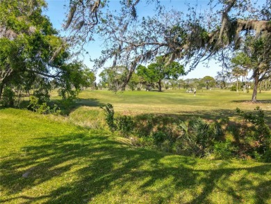Beautiful 3- bedroom,2.5-Bath Golf course home in New Smyrna on Hidden Lakes Golf Club in Florida - for sale on GolfHomes.com, golf home, golf lot