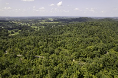 Wooded & peaceful building lot at The Highlands of Eagles Nest on Eagles Nest Country Club in Kentucky - for sale on GolfHomes.com, golf home, golf lot