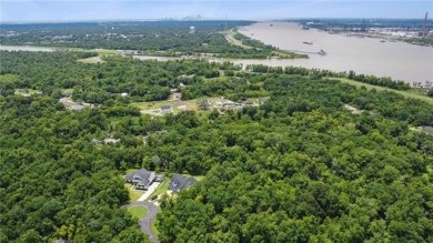 Built with precision just 3.5 years ago, this impeccably on English Turn Golf and Country Club in Louisiana - for sale on GolfHomes.com, golf home, golf lot