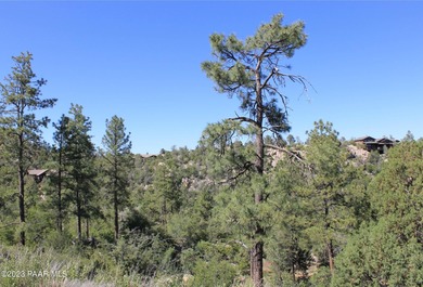 INCREDIBLY RARE, PRIVATE GOLF COURSE LOT on 17TH TEE, with only on Capital Canyon Club in Arizona - for sale on GolfHomes.com, golf home, golf lot