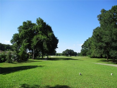 BEAUTIFUL 1/4 ACRE GOLF COURSE CORNER LOT, SAFE FROM ERRANT on Preserve Golf Club in Florida - for sale on GolfHomes.com, golf home, golf lot