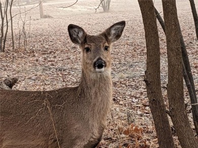 Come do what you love; hike, swim, golf, and relax. This lot is on Linn Valley Lakes - Deer Trace Golf Course in Kansas - for sale on GolfHomes.com, golf home, golf lot