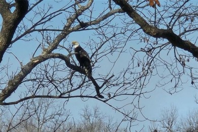 Come do what you love; hike, swim, golf, and relax. This lot is on Linn Valley Lakes - Deer Trace Golf Course in Kansas - for sale on GolfHomes.com, golf home, golf lot