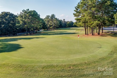 This beautifully appointed Saussy Burbank home showcases premium on Tega Cay Golf Club in South Carolina - for sale on GolfHomes.com, golf home, golf lot