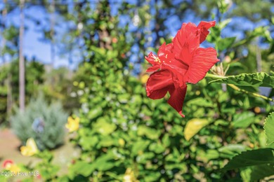 Coastal style meets everyday ease at 1728 Culdees Lane in Avalon on Lennon Hills Golf Course in North Carolina - for sale on GolfHomes.com, golf home, golf lot