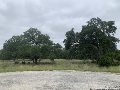 Discover the perfect canvas for your Hill Country dream home on on Rebecca Creek Golf Club in Texas - for sale on GolfHomes.com, golf home, golf lot
