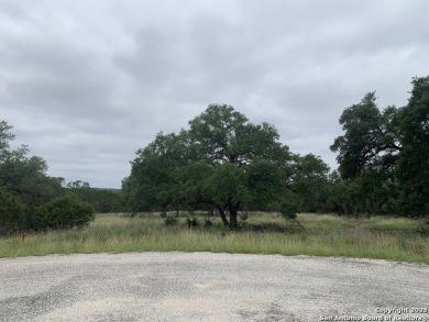Discover the perfect canvas for your Hill Country dream home on on Rebecca Creek Golf Club in Texas - for sale on GolfHomes.com, golf home, golf lot