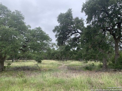 Discover the perfect canvas for your Hill Country dream home on on Rebecca Creek Golf Club in Texas - for sale on GolfHomes.com, golf home, golf lot