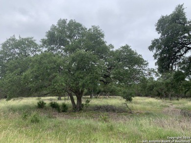 Discover the perfect canvas for your Hill Country dream home on on Rebecca Creek Golf Club in Texas - for sale on GolfHomes.com, golf home, golf lot
