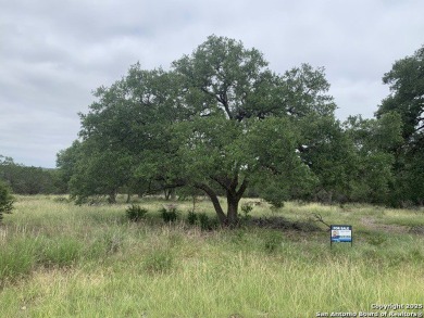 Discover the perfect canvas for your Hill Country dream home on on Rebecca Creek Golf Club in Texas - for sale on GolfHomes.com, golf home, golf lot