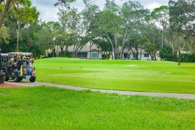 Under contract-accepting backup offers. Enjoy Resort Style on Timber Pines Golf Course in Florida - for sale on GolfHomes.com, golf home, golf lot