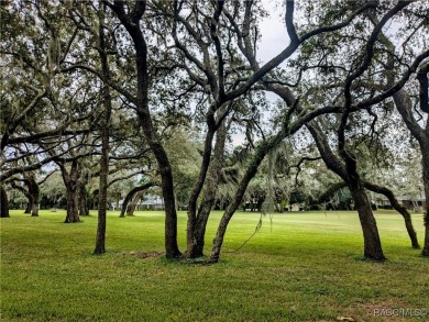 Do you want the opportunity of a lifetime?  Of course you do! on Citrus Hills Golf Club in Florida - for sale on GolfHomes.com, golf home, golf lot