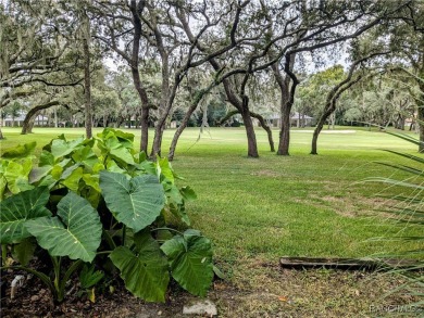 Do you want the opportunity of a lifetime?  Of course you do! on Citrus Hills Golf Club in Florida - for sale on GolfHomes.com, golf home, golf lot