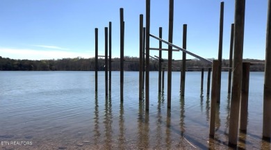 One of the best deep-water dockable lakefront homesites on Rarity Bay Country Club - Loudon in Tennessee - for sale on GolfHomes.com, golf home, golf lot