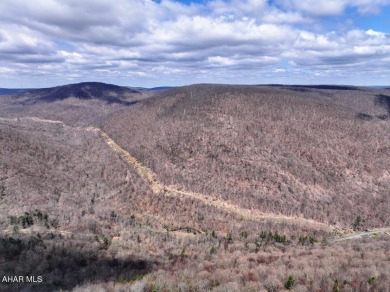Breathtaking views are yours to enjoy at Blue Knob! 
This on Blue Knob Rec Area Golf Course in Pennsylvania - for sale on GolfHomes.com, golf home, golf lot