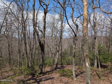 Breathtaking views are yours to enjoy at Blue Knob! 
This on Blue Knob Rec Area Golf Course in Pennsylvania - for sale on GolfHomes.com, golf home, golf lot