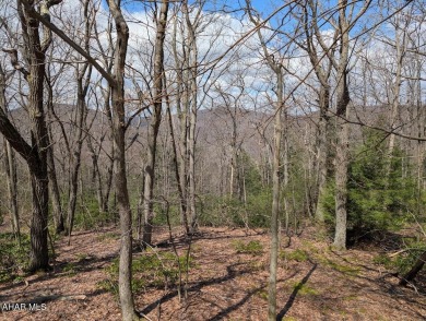 Breathtaking views are yours to enjoy at Blue Knob! 
This on Blue Knob Rec Area Golf Course in Pennsylvania - for sale on GolfHomes.com, golf home, golf lot