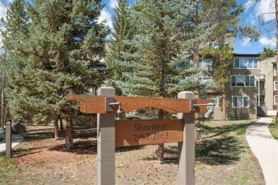 Absolutely gorgeous vistas of the Ten Mile Range from this 2 bed on The River Course At Keystone in Colorado - for sale on GolfHomes.com, golf home, golf lot