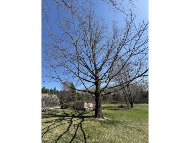 Welcome to 3787 Buzzell Rd. This beautifully updated 4-bedroom on Gladwin Heights Golf Course in Michigan - for sale on GolfHomes.com, golf home, golf lot