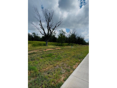 Rare 2.46-acre corner lot in the highly sought-after Pecan on Nutcracker Golf Club in Texas - for sale on GolfHomes.com, golf home, golf lot