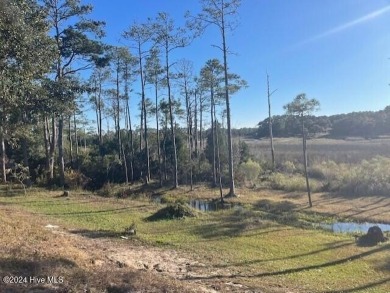 Discover the perfect homesite in Carolina Place, offering on South Harbour Golf Links in North Carolina - for sale on GolfHomes.com, golf home, golf lot