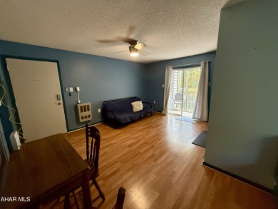 2nd floor studio in the Allegheny Mountains at Blue Knob All on Blue Knob Rec Area Golf Course in Pennsylvania - for sale on GolfHomes.com, golf home, golf lot