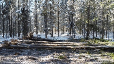 AUGUST SPECIAL: Sewer Connection and Community water hook up fee on Island Park Village Resort Golf Course in Idaho - for sale on GolfHomes.com, golf home, golf lot