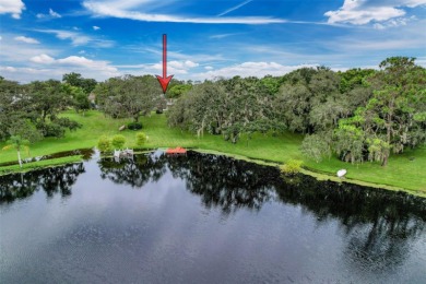 Lakefront Living in Beacon Woods Village with no flood insurance on Beacon Woods Golf Club in Florida - for sale on GolfHomes.com, golf home, golf lot