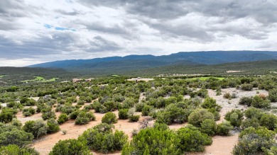 Situated beside a pristine golf course in the heart of a on Paa-Ko Ridge Golf Club  in New Mexico - for sale on GolfHomes.com, golf home, golf lot