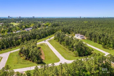 BUILDER WILL INCLUDE REFRIGERATOR AND BLINDS FOR ANY BUYER WHO on The Golf Club of the Wharf in Alabama - for sale on GolfHomes.com, golf home, golf lot