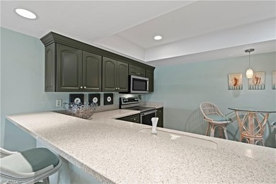 Lofty 2-Bedroom, 2-Bath Turnkey Condo in The Forest Country on The Forest Country Club in Florida - for sale on GolfHomes.com, golf home, golf lot