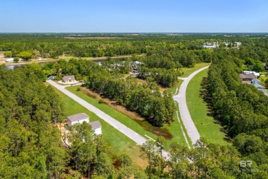 BUILDER WILL INCLUDE REFRIGERATOR AND BLINDS FOR ANY BUYER WHO on The Golf Club of the Wharf in Alabama - for sale on GolfHomes.com, golf home, golf lot