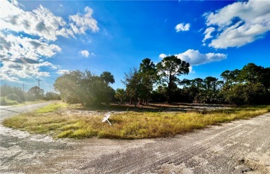 Construct your dream home on this generously-sized CORNER lot on Mirror Lakes Golf Club in Florida - for sale on GolfHomes.com, golf home, golf lot