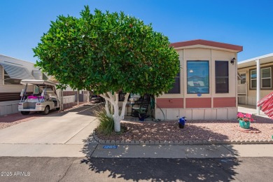 Immaculate 2 Bedrm 2 Bath Home. Kitchen, Family Rm & Dinning Rm on Viewpoint Golf Resort in Arizona - for sale on GolfHomes.com, golf home, golf lot