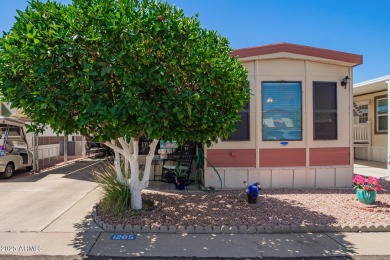 Immaculate 2 Bedrm 2 Bath Home. Kitchen, Family Rm & Dinning Rm on Viewpoint Golf Resort in Arizona - for sale on GolfHomes.com, golf home, golf lot