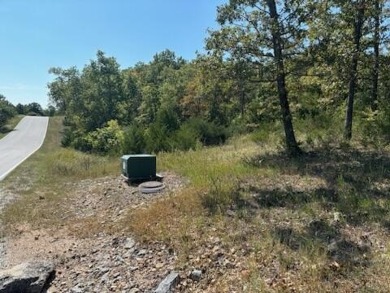 Great Lot to Build On OR just buy to have access the LedgeStone on Ledgestone Country Club and Golf Course in Missouri - for sale on GolfHomes.com, golf home, golf lot