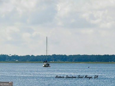 MOTIVATED SELLER: PRICED $27,000 BELOW CURRENT APPRAISAL! on The Club At Osprey Cove in Georgia - for sale on GolfHomes.com, golf home, golf lot