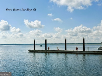 MOTIVATED SELLER: PRICED $27,000 BELOW CURRENT APPRAISAL! on The Club At Osprey Cove in Georgia - for sale on GolfHomes.com, golf home, golf lot