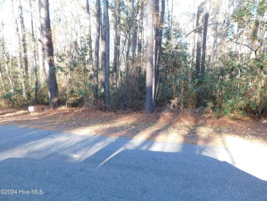 Beautiful Gated Golf community in the Sandhills area, this lot on Deercroft Golf and Country Club in North Carolina - for sale on GolfHomes.com, golf home, golf lot