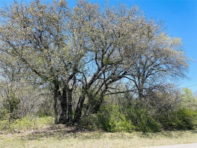 Come build your dream home just two blocks from spectacular on White Bluff Resort - Old Course in Texas - for sale on GolfHomes.com, golf home, golf lot