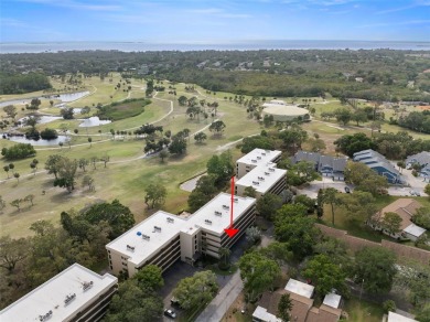 Welcome to your dream 2 bedroom, 2 bath condo in the heart of on Tarpon Springs Golf Course in Florida - for sale on GolfHomes.com, golf home, golf lot