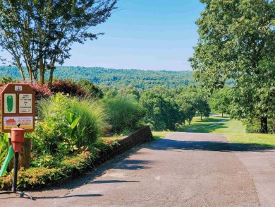 Gorgeous vista views of Lake Catherine!  NO POA DUES UNTIL YOU on Diamondhead Golf and Country Club in Arkansas - for sale on GolfHomes.com, golf home, golf lot