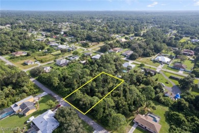 Welcome to this ideal vacant lot located in the heart of one of on Lehigh Resort Club in Florida - for sale on GolfHomes.com, golf home, golf lot