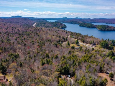 Looking for a classic Adirondack setting? Look no further than on Malone Golf Club, Inc. in New York - for sale on GolfHomes.com, golf home, golf lot