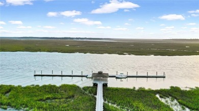 Cooper's Point provides access to a community deep water dock on Sapelo Hammock Golf Club in Georgia - for sale on GolfHomes.com, golf home, golf lot