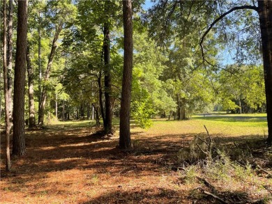 Cooper's Point provides access to a community deep water dock on Sapelo Hammock Golf Club in Georgia - for sale on GolfHomes.com, golf home, golf lot