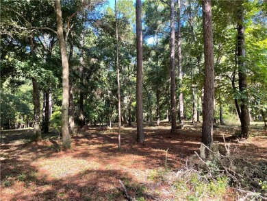 Cooper's Point provides access to a community deep water dock on Sapelo Hammock Golf Club in Georgia - for sale on GolfHomes.com, golf home, golf lot