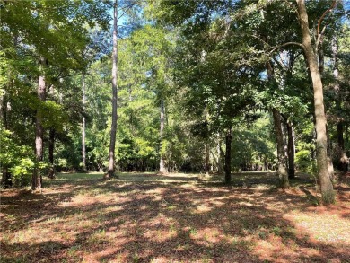 Cooper's Point provides access to a community deep water dock on Sapelo Hammock Golf Club in Georgia - for sale on GolfHomes.com, golf home, golf lot